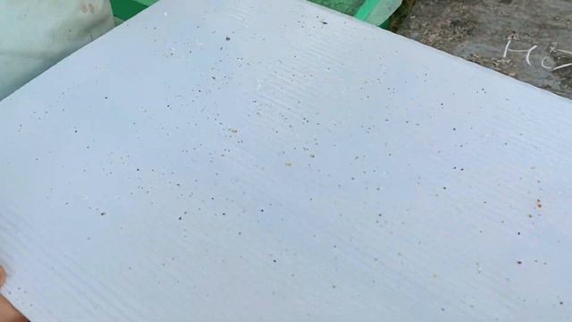 СУПЕР ОРУЖИЕ КЛЕЩ ВАРРОА обработка щавелевой кислотой VARROA MITES ATTACK oxalic acid treatment смотреть онлайн