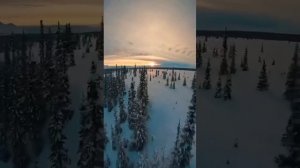 По зимнему лесу ❄️

#полесу #влесу #зима #закат #свысоты