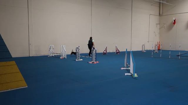 July 31, 2015 210 Erika & Orion смотреть онлайн