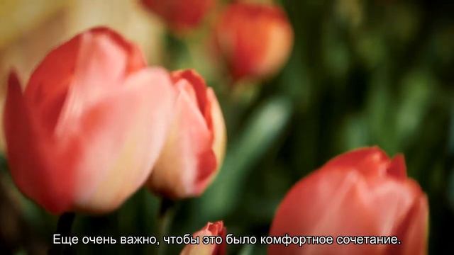 Синоптик сообщил о начале бархатного сезона на российских курортах смотреть онлайн