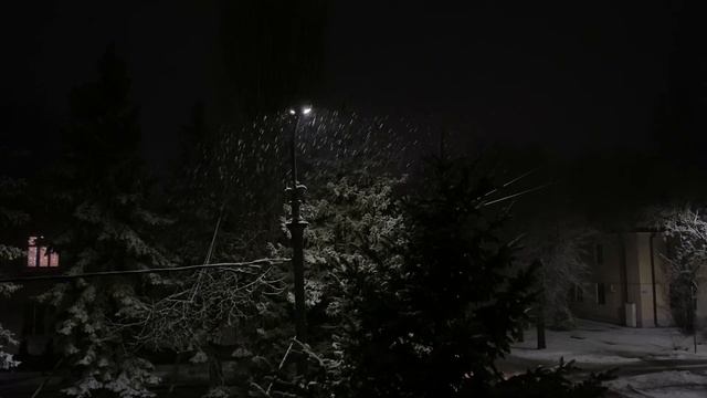 Вдохновляющая атмосфера нового года и зимы/ зимние книги / наряжаю ёлку/ Новый год / VLOG DMARSOVNA смотреть онлайн