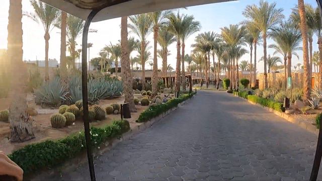 Отель SENTIDO Reef Oasis Senses Resort.Reef Oasis Beach Resort 5*.Египет смотреть онлайн