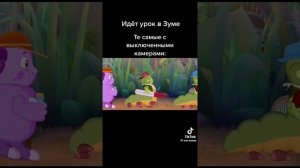 МЕМЫ ПРО ЛУНТИКА