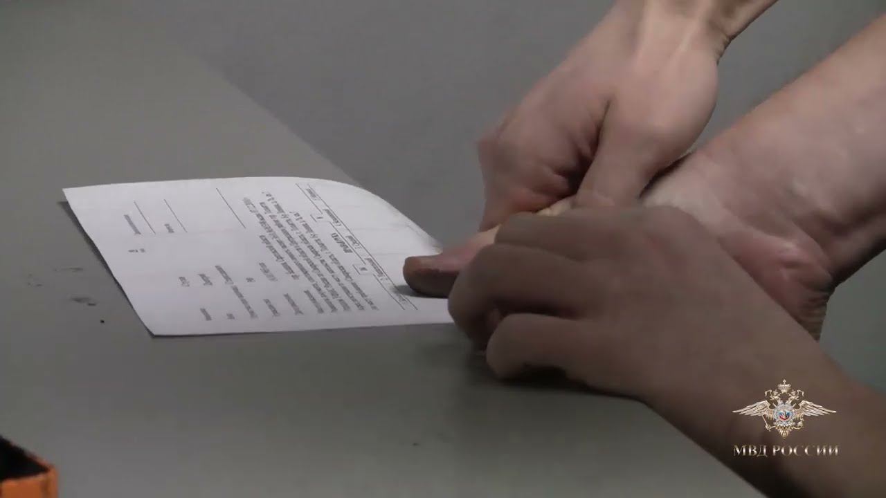 Ирина Волк: Полицейские Подмосковья задержали подозреваемых в серии интернет-мошенничеств смотреть онлайн