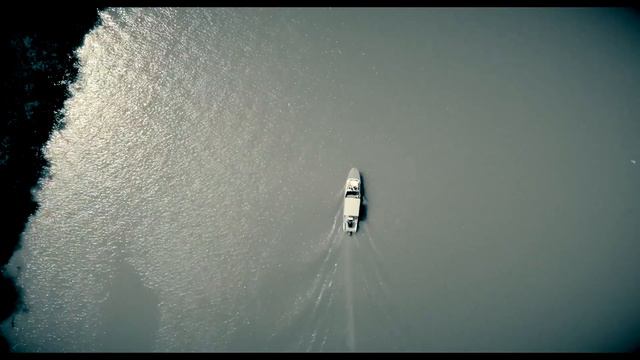 დავით არჩვაძე - ჩემი საქართველო აქ არის - Davit Archvadze - Chemi Saqartvelo Aq Aris - Petre Kolxi