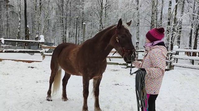 Вариант 1. Движение на корде, вид из круга . смотреть онлайн