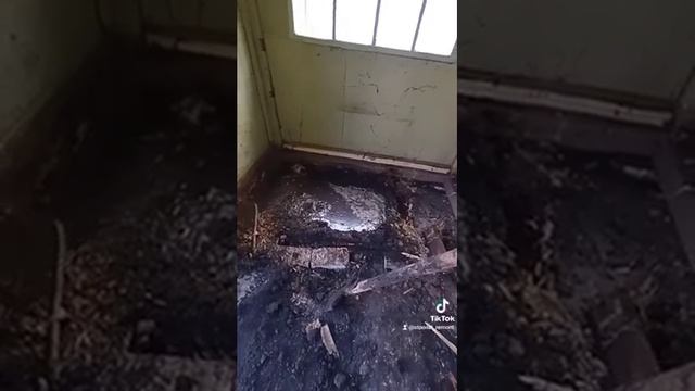 как засыпать подвал, чтобы не было проблем смотреть онлайн