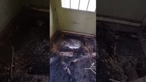 как засыпать подвал, чтобы не было проблем