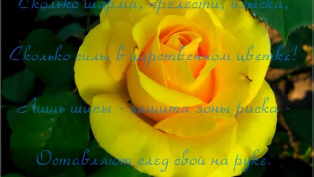 Розовые фантазии смотреть онлайн