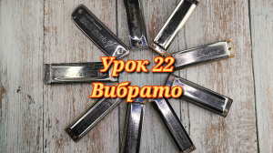 Губная гармошка 22