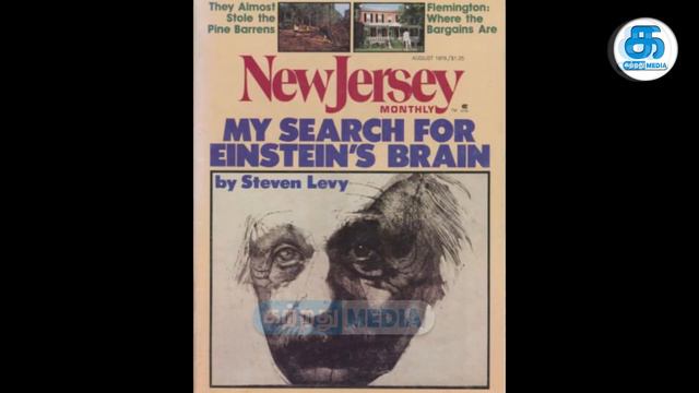 ஐன்ஸ்டீன் மூளையின் ரகசியங்கள் | what happened to Einstein's Brain смотреть онлайн