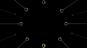 GARNIER OLIA 10 06 13 30s