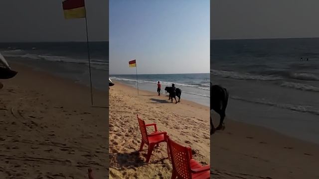 Пляж бенаулим смотреть онлайн