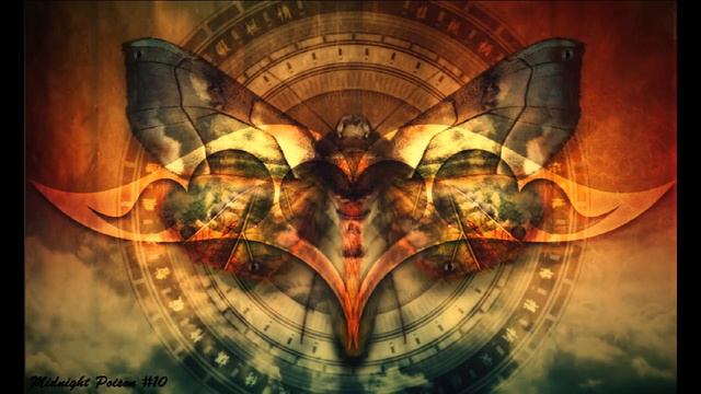 Midnight Poison #10 (Hraach,Oceanvs Orientalis,Armando Letico,Kayhan Kalhor,Neşet Ertaş Remix)