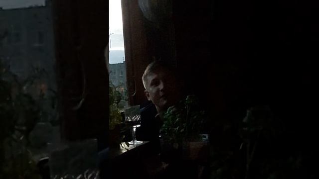 Томаты Бонсай выращивание через рассаду и пикировка смотреть онлайн