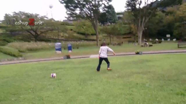 MOST ADORABLE Mini Pig Videos - Cute Micro Pig 2017 смотреть онлайн