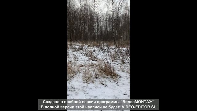 Поход к проектировщику и план строений на участке. смотреть онлайн