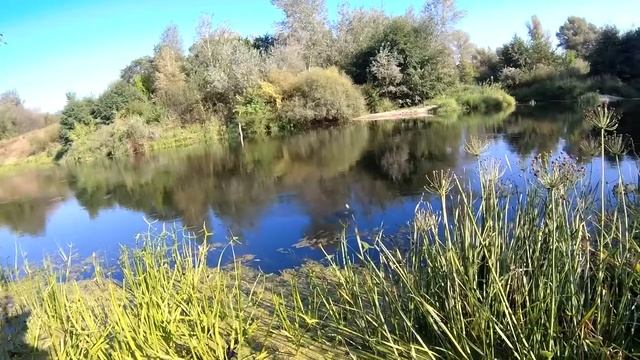 Рыбалка на поплавок. ловля рыбы на реке в конце лета. смотреть онлайн