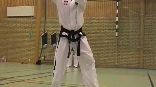 Таэквон-до Тули Техника выполнения Taekwon-do ITF 08hwarang смотреть онлайн