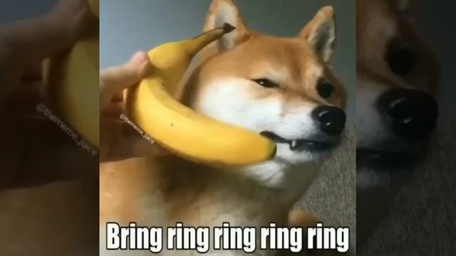 Banana phone смотреть онлайн