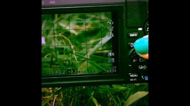 Olympus Tough TG-5 Macrophotography & How To Take Great Closeups Of Small Things & microscope mode смотреть онлайн