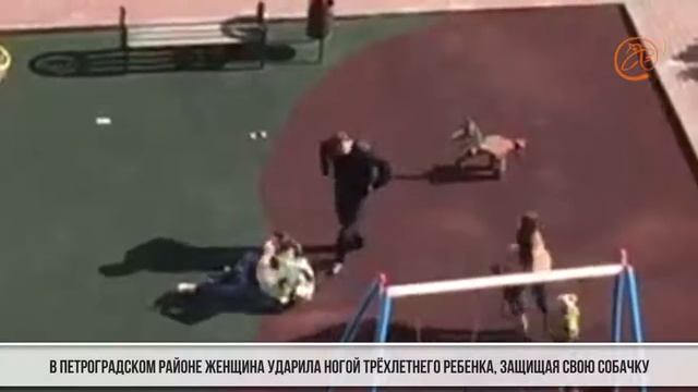 Пнуть ребенка из за собаки это нормально Надежда Федорова https://vk.com/nadejda_fn смотреть онлайн