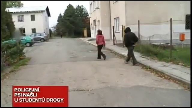Policisté ve škole předváděli služební psy, ti u tří žáků našli marihuanu смотреть онлайн