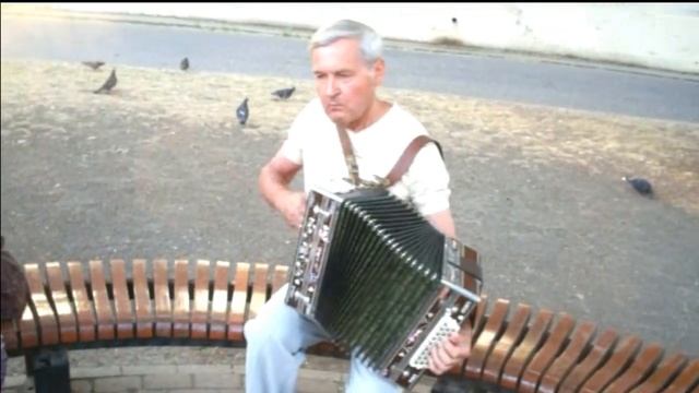 Красивейший вальс звучит в руках музыканта. Играй гармонь! смотреть онлайн