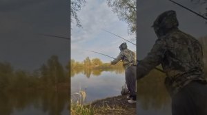 Самоподсекающийся поплавок с АлиЭкспресс