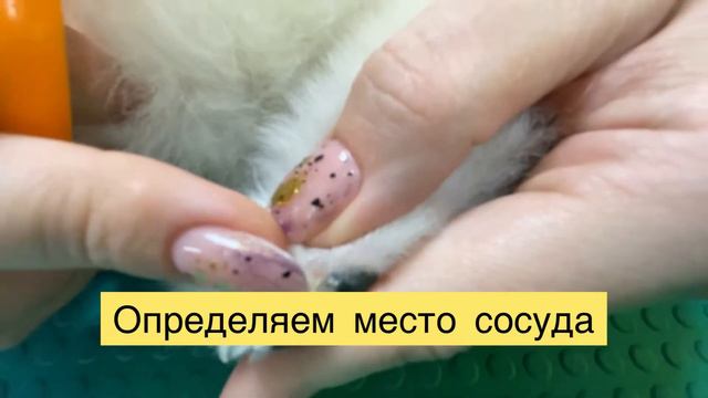 Правила домашнего ухода в период между процедурами смотреть онлайн