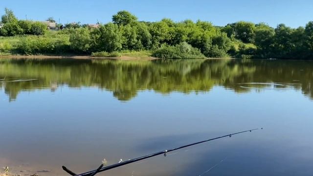 Ловля карася на поплавочную удочку в июне. Молчаливая рыбалка. смотреть онлайн