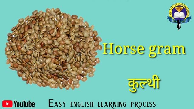 Pulses name | Pulses in english and legumes in hindi | Pulses name hindi | दालों की नाम | Dal name смотреть онлайн