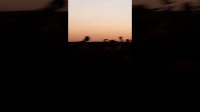 подсолночник как медонос смотреть онлайн