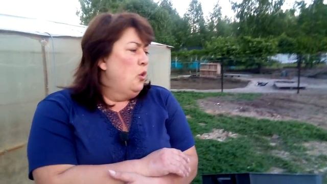 Вес Линдовских гусят в 1 месяц на свободном выгуле // как кормить гусят смотреть онлайн