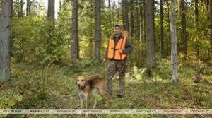 Загонная охота на лося и оленя.