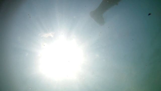 Под водой. Черное море Крым. смотреть онлайн