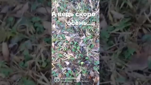 СКОРО ОСЕНЬ….я на ярмарке мастеров https://www.livemaster.ru/lyudmila-potapova смотреть онлайн