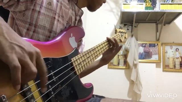 Rammstein- Du Hast ( Bass Cover ) смотреть онлайн