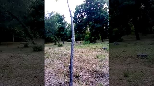 ??? любовь? семья? и домик у сада, ну что ещё для счастья надо, детишки для души отрада ?❤️счастье смотреть онлайн