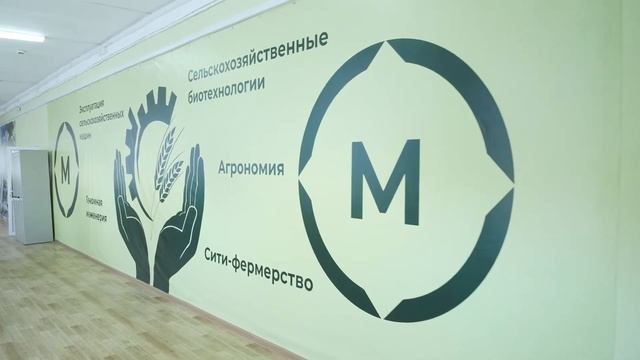Мастерские ЛГК смотреть онлайн