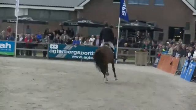 KWPN stallion Forsyth met Richard Kapteijn. смотреть онлайн