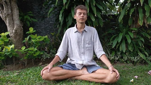 Фитосборы для пищеварения. Тибетская медицина.