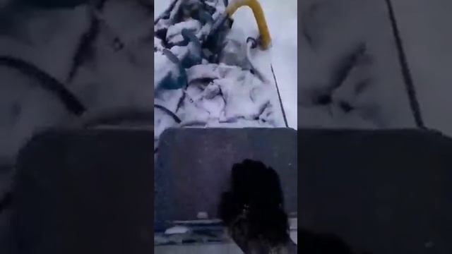 Мотособака Вьюга смотреть онлайн