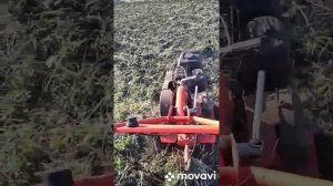 Пахота целины, мотоблок «Агат«6.5. Супер!!!!! Мощный!!!!