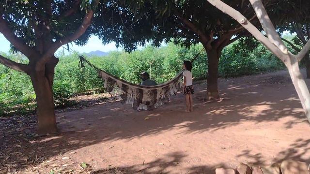 como ficou linda nossa roça/o que cada um faz pra ajudar na organização! смотреть онлайн