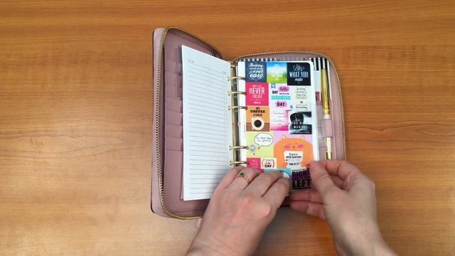 Мой Kate Spade Cameron Street Agenda ежедневник и кошелек на 2017 смотреть онлайн