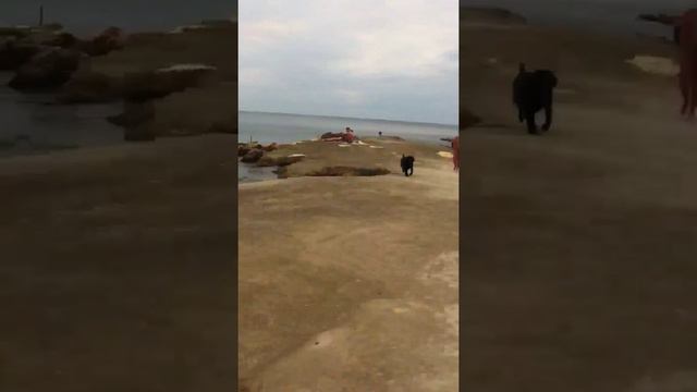 Севастополь, бухта Казачья смотреть онлайн