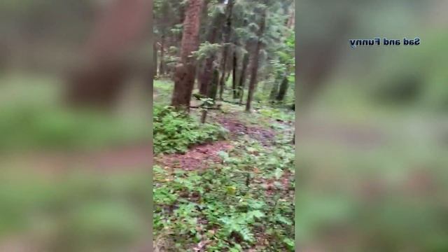 Стоянка чукчей. Прогулка по лесу с Мурзилкой из ада. Юмор абсурда. смотреть онлайн