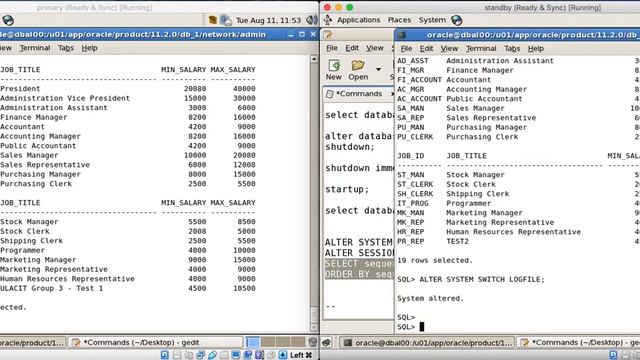 ORACLE DATA GUARD - ULACIT - GROUP 3 - AUG-2020 смотреть онлайн