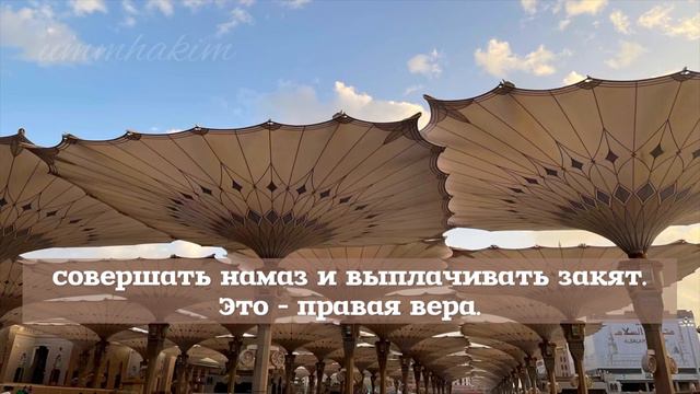 СУРА АЛЬ-БАЙИНА/ ЯСНОЕ ЗНАМЕНИЕ/ САЛИМ БАХАНАН/ КРАСИВОЕ ЧТЕНИЕ КОРАНА смотреть онлайн